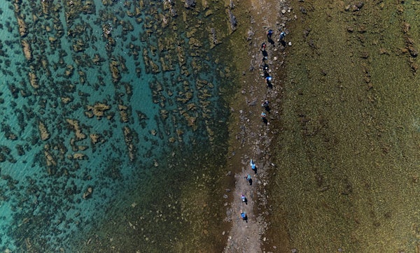 What Is Sea Acidification?