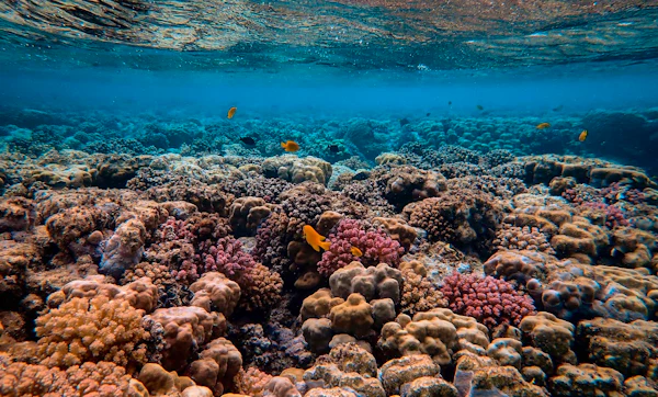 Changes to Biodiversity