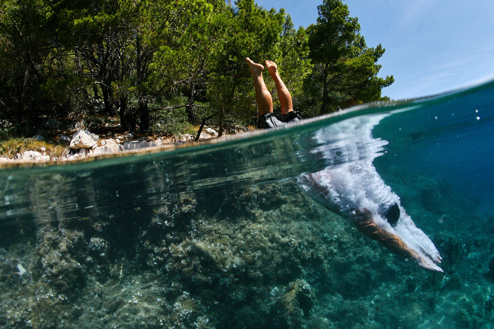 What Lives Under Your Hull: A Guide to the Mediterranean Sea