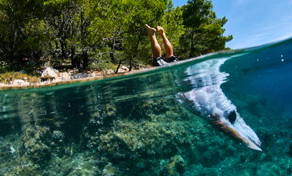 What Lives Under Your Hull: A Guide to the Mediterranean Sea