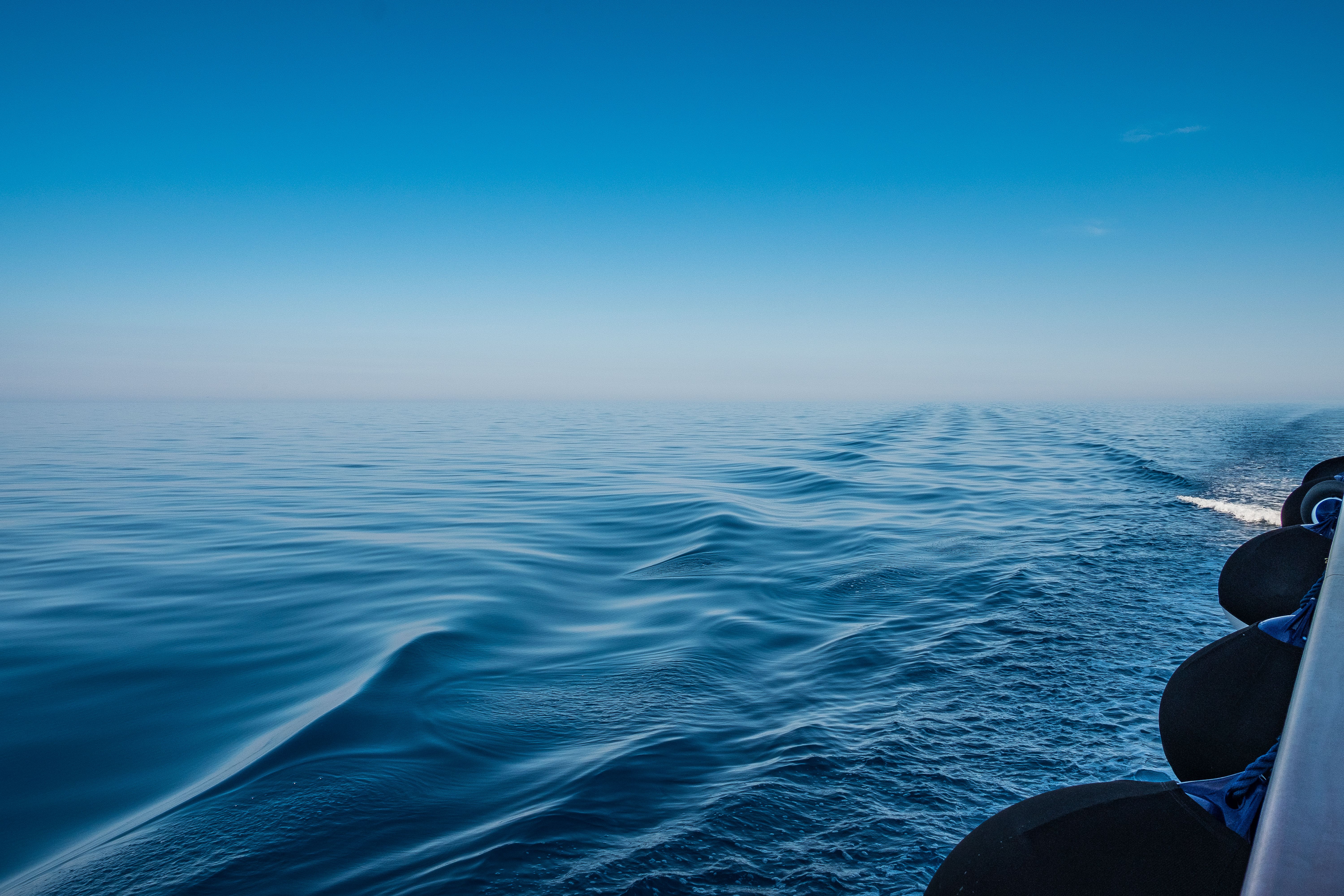 The High Seas Treaty