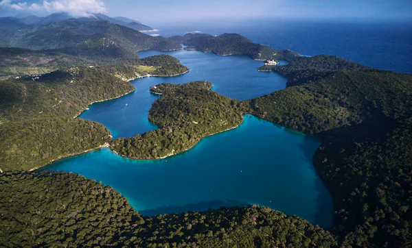 The Global Freshwater Crisis