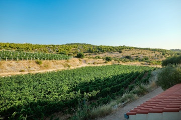 SC_Wine_Romantic_Star_132_5d01fb16fb