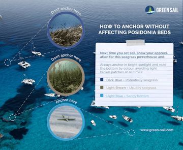 Untitled_design_9_98a98d2dc0