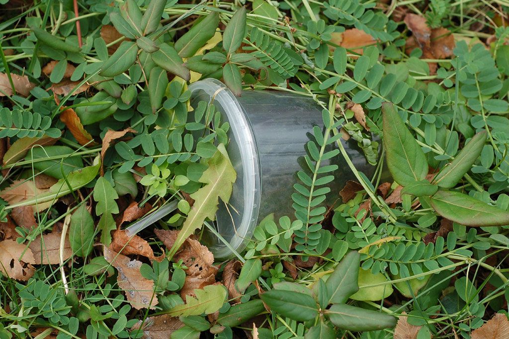 Getting To The Bottom of Biodegradable