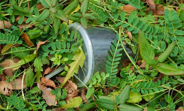 Getting To The Bottom of Biodegradable