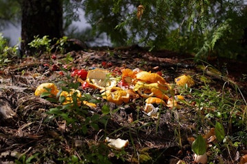 biodegradable_33_009720f413