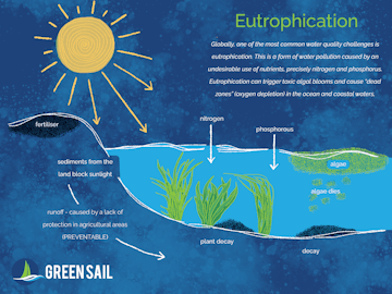 eutrophication_c63fc3cf54