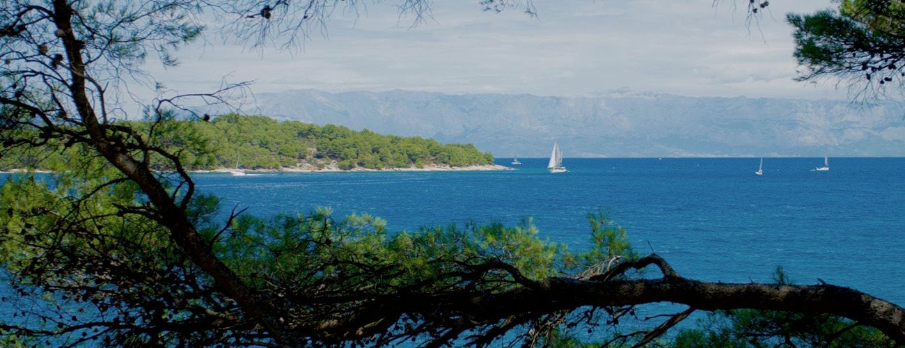 Best Of Croatia Special Banner