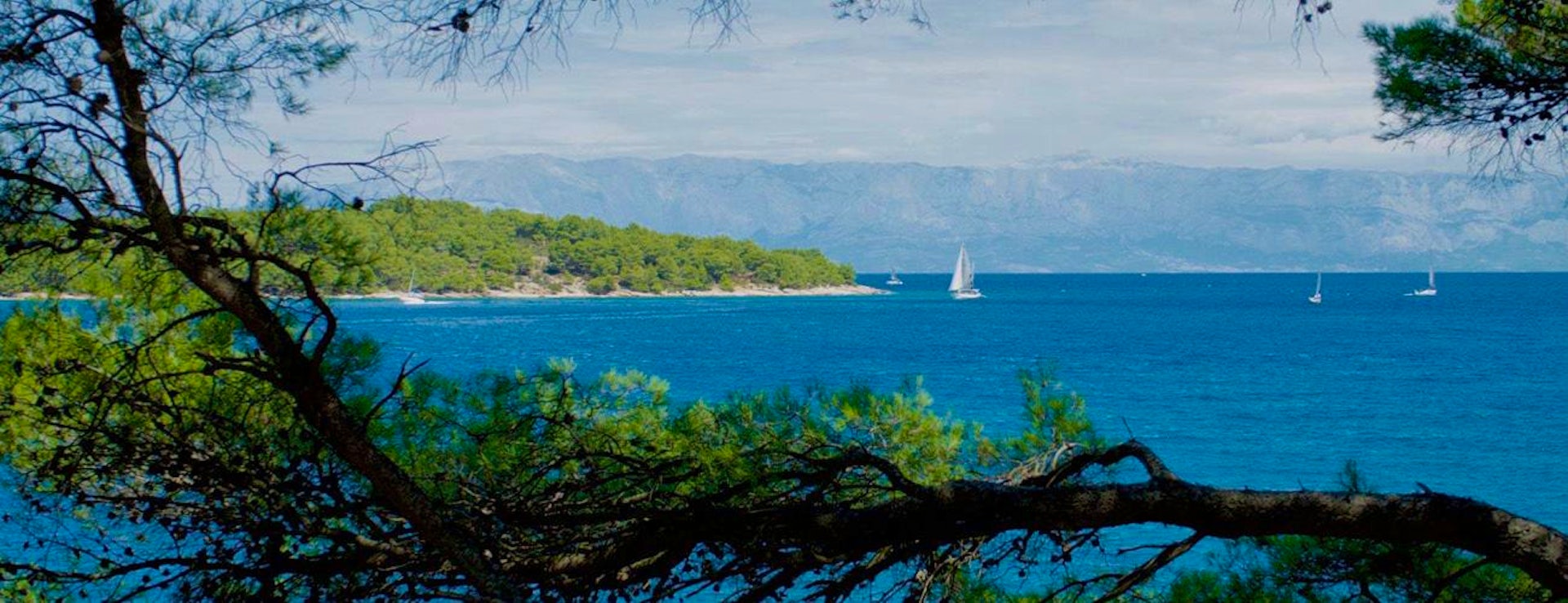 Best Of Croatia Special Banner