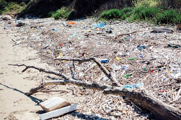 one_action_2_a3887133a7