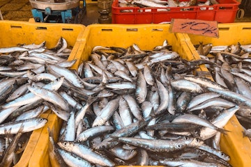 overfising_fce8be37c8