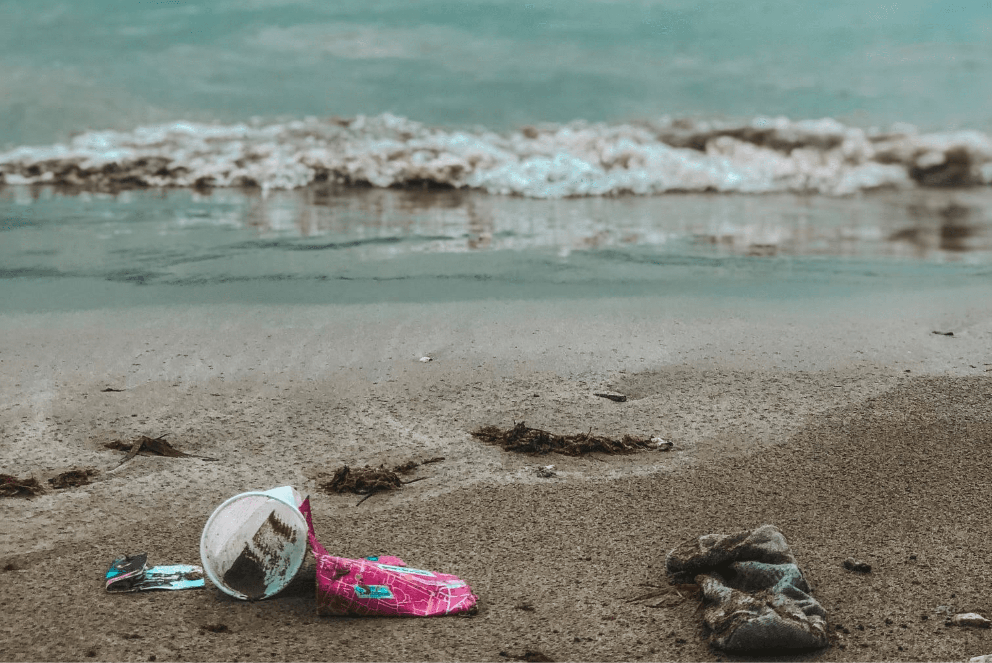 Water Pollution and the State of Our Seas