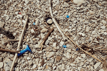 pollution_blog_paragraph_2_1fef00f643