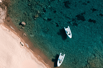 pollution_blog_paragraph_3_acb419d449