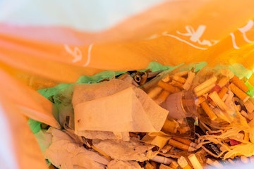 unwelcome_intruders_c525653940